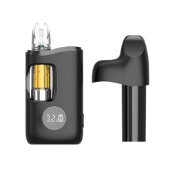 Alternative view of CCELL Kap